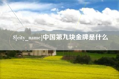 丹东中国第九块金牌是什么