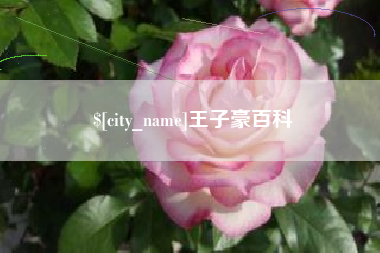 丹东王子豪百科