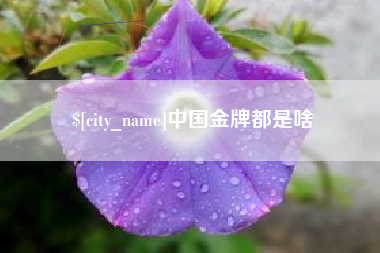丹东中国金牌都是啥