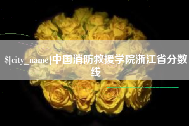 丹东中国消防救援学院浙江省分数线