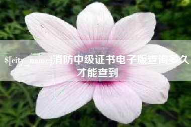 丹东消防中级证书电子版查询多久才能查到