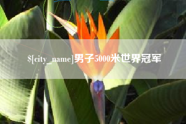 丹东男子5000米世界冠军