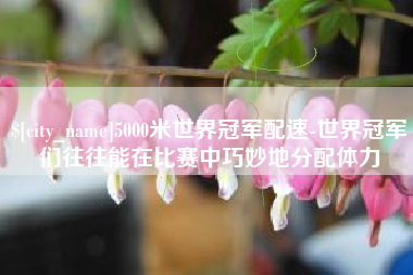 丹东5000米世界冠军配速-世界冠军们往往能在比赛中巧妙地分配体力
