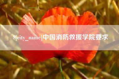 丹东中国消防救援学院要求