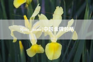 丹东中国金牌包括