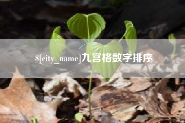 丹东九宫格数字排序