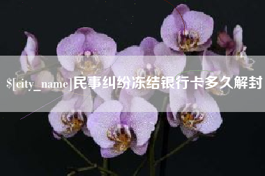 丹东民事纠纷冻结银行卡多久解封