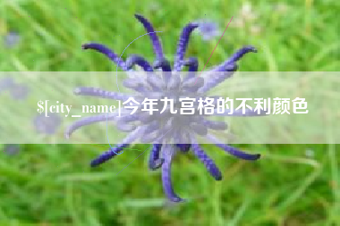 丹东今年九宫格的不利颜色