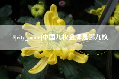 丹东中国九枚金牌是哪九枚