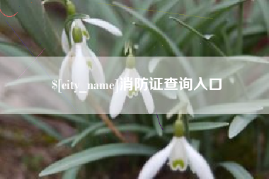丹东消防证查询入口