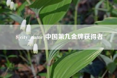 丹东中国第九金牌获得者