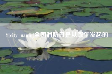 丹东全国消防日是从哪年发起的