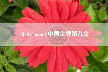 丹东中国金牌第九金