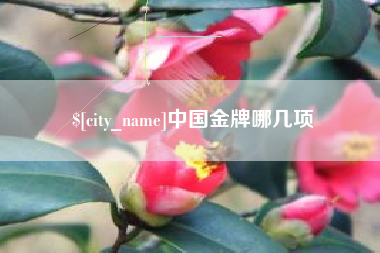 丹东中国金牌哪几项