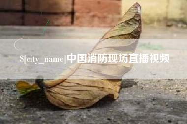 丹东中国消防现场直播视频