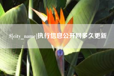 丹东执行信息公开网多久更新