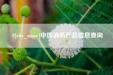 丹东中国消防产品信息查询