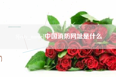 丹东中国消防网址是什么