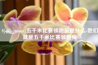 丹东五千米比赛领跑员是什么-他们就是五千米比赛领跑员