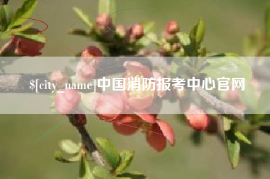 丹东中国消防报考中心官网