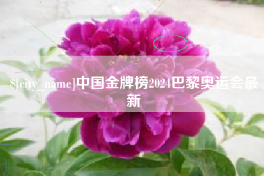 丹东中国金牌榜2024巴黎奥运会最新