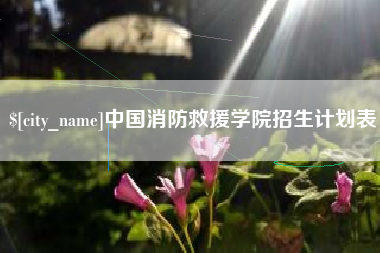 丹东中国消防救援学院招生计划表