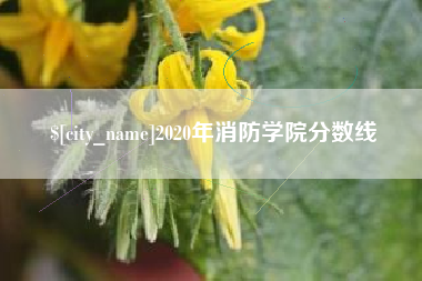 丹东2020年消防学院分数线