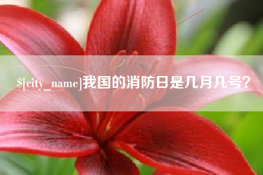 丹东我国的消防日是几月几号？