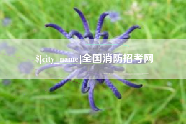 丹东全国消防招考网