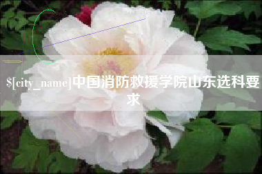 丹东中国消防救援学院山东选科要求