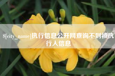 丹东执行信息公开网查询不到被执行人信息