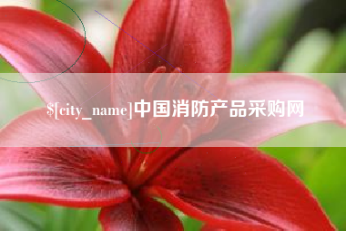 丹东中国消防产品采购网