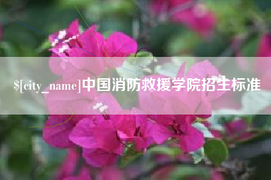 丹东中国消防救援学院招生标准