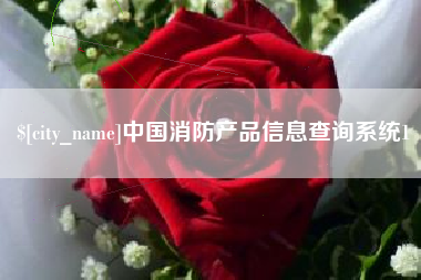 丹东中国消防产品信息查询系统1