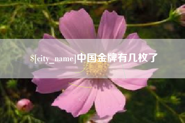丹东中国金牌有几枚了
