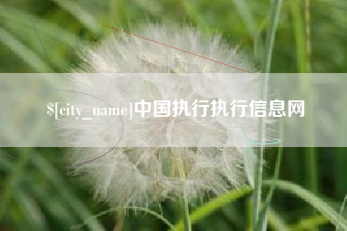 丹东中国执行执行信息网