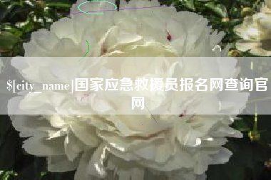 丹东国家应急救援员报名网查询官网