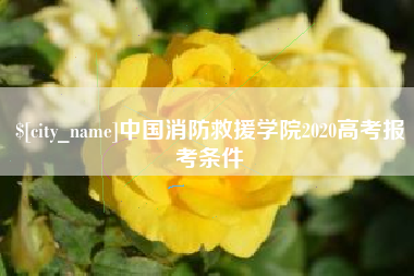 丹东中国消防救援学院2020高考报考条件