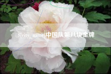 丹东中国队第八块金牌