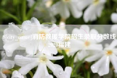 丹东消防救援学院招生录取分数线2020福建