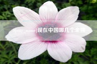 丹东现在中国哪几个金牌