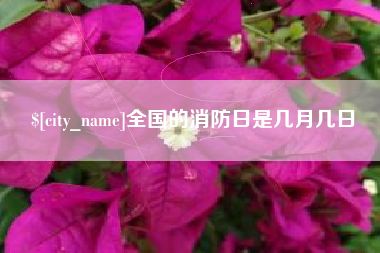 丹东全国的消防日是几月几日