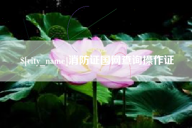 丹东消防证国网查询操作证