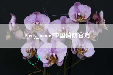 丹东中国消防官方