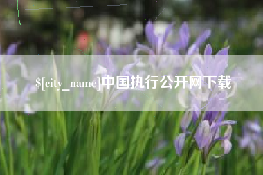 丹东中国执行公开网下载