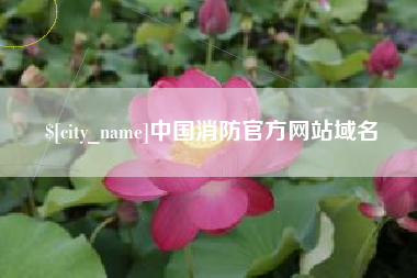 丹东中国消防官方网站域名
