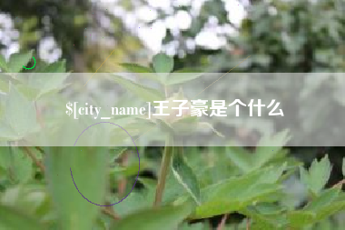 丹东王子豪是个什么