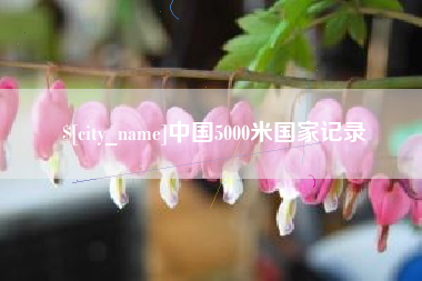 丹东中国5000米国家记录