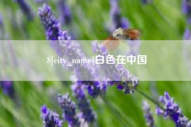丹东白色在中国