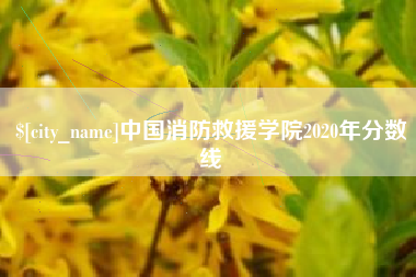 丹东中国消防救援学院2020年分数线
